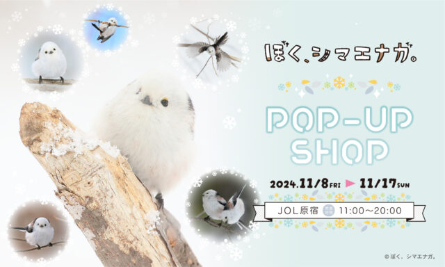 『ぼく、シマエナガ。 POP-UP SHOP』@JOL HARAJUKU開催決定！